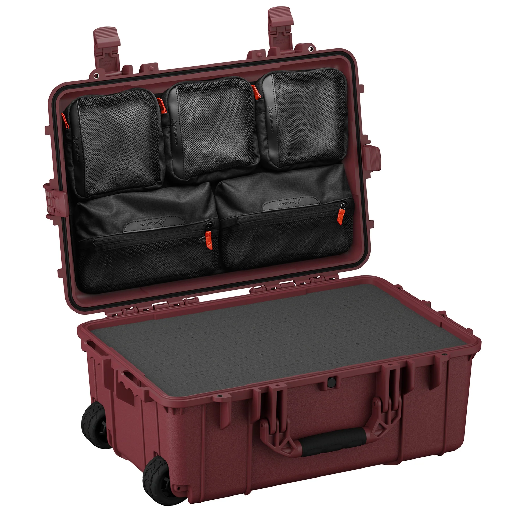 24" Large Case #305 - Image 17